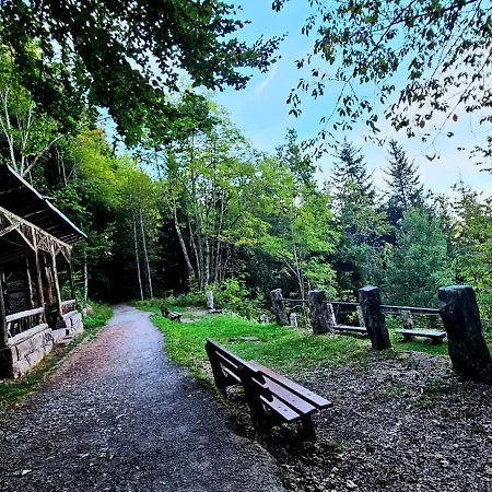 Apartamento Ruhiges Premium-appartement Im Schwarzwald